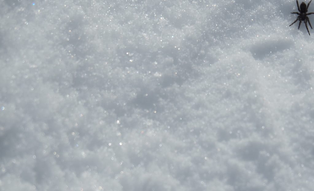 <img data-opt-id=1532621122  fetchpriority=