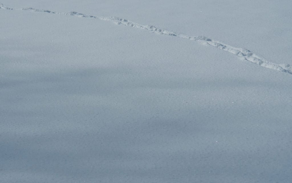 <img data-opt-id=142557928  fetchpriority=