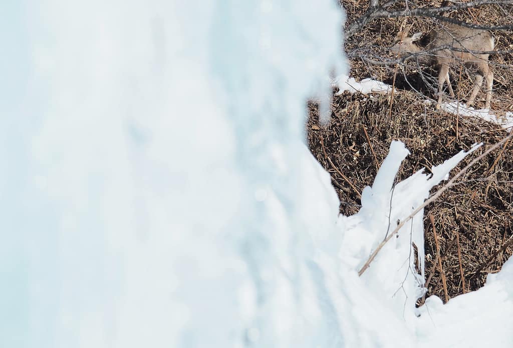 <img data-opt-id=1797532986  fetchpriority=