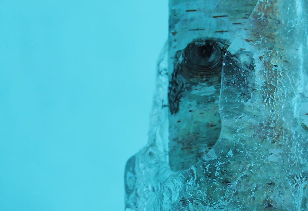 <img data-opt-id=2080773855  fetchpriority=