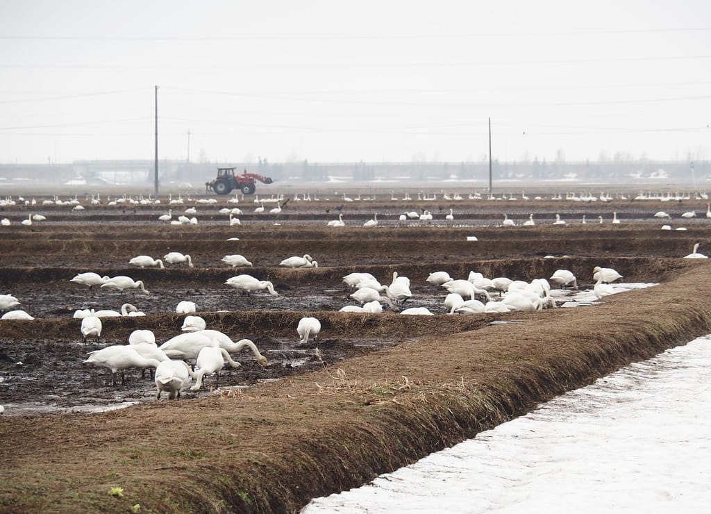 <img data-opt-id=1383635173  fetchpriority=