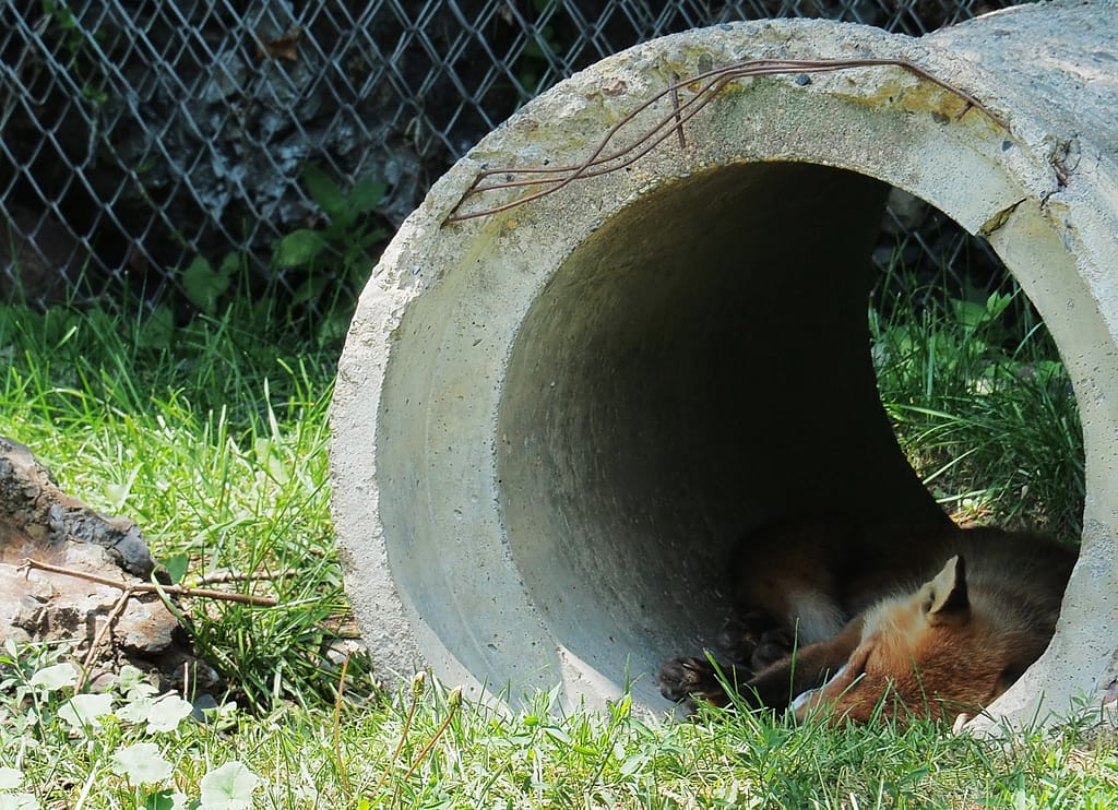 <img data-opt-id=330511066 fetchpriority=