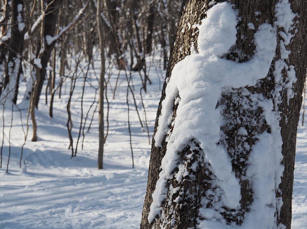 <img data-opt-id=1699957132  fetchpriority=