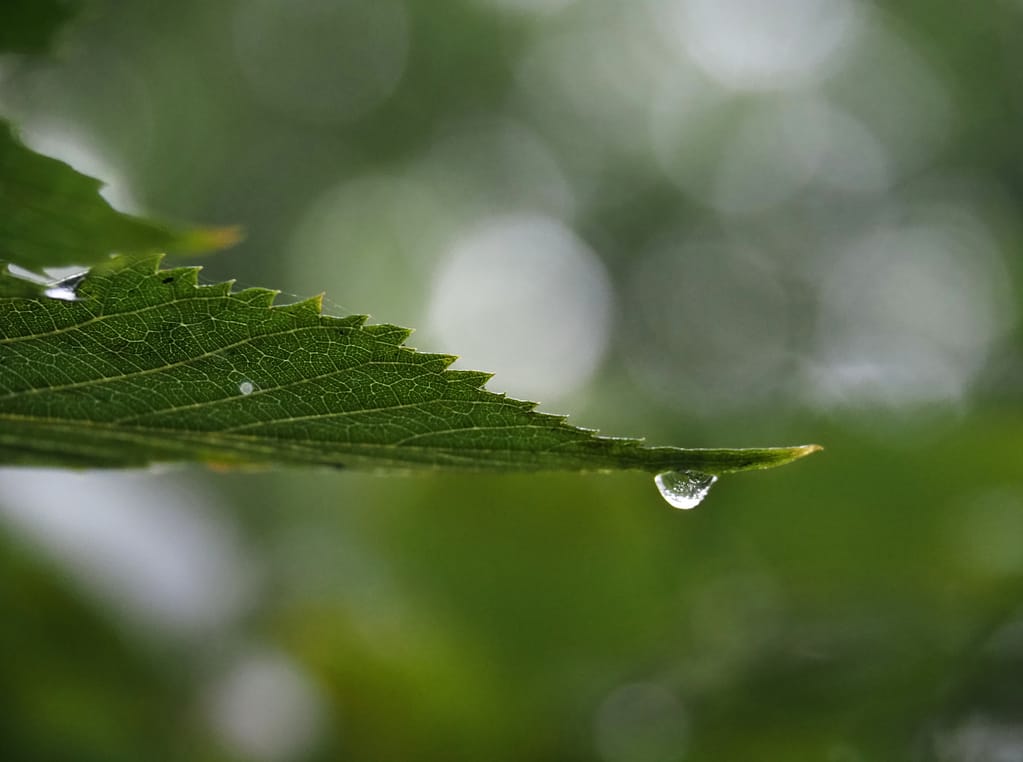 <img src="雨空5-scaled.jpg" alt="">