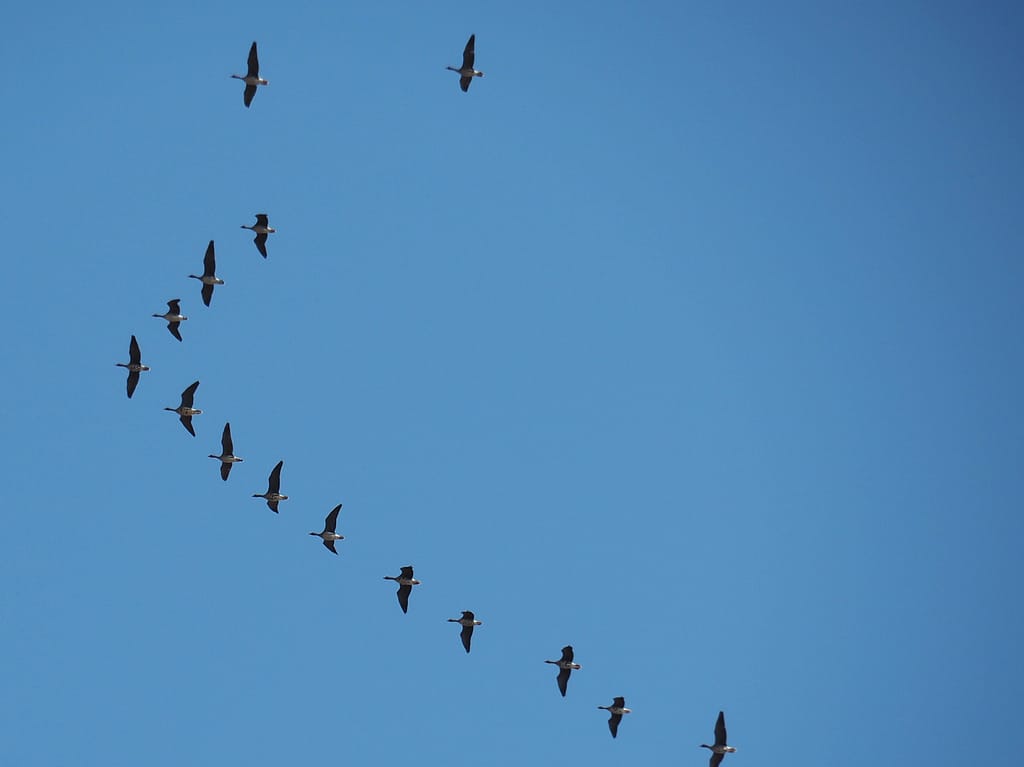 <img data-opt-id=923606850  fetchpriority=