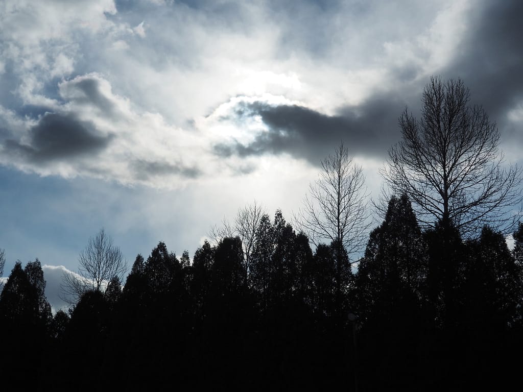 <img data-opt-id=1626611833 fetchpriority=