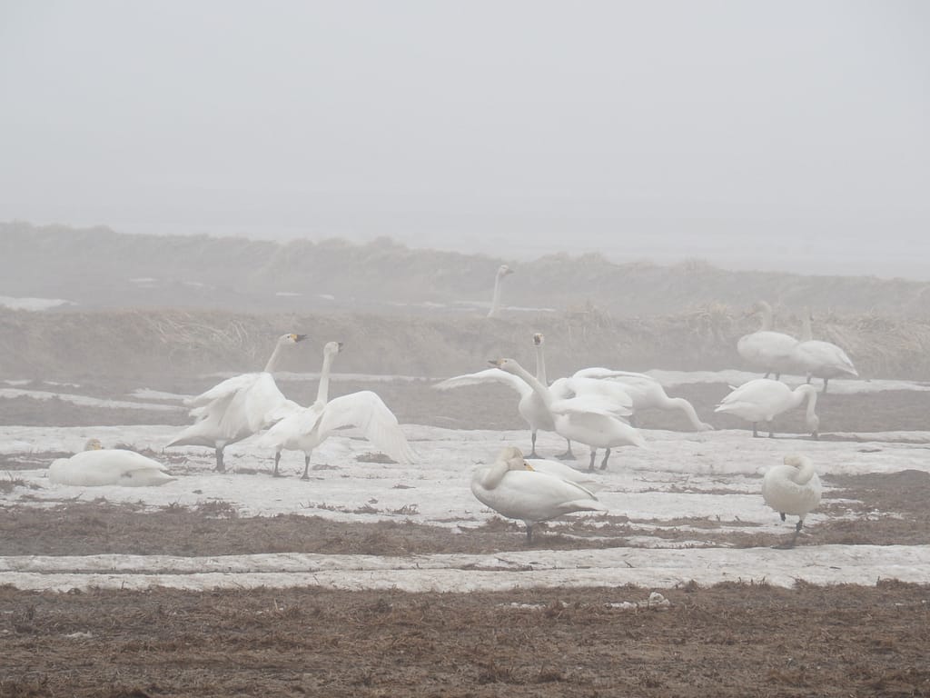 <img data-opt-id=1462068865  fetchpriority=