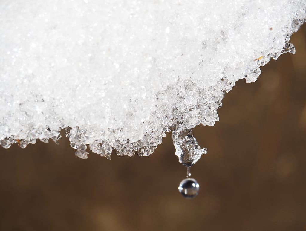 <img data-opt-id=187242822  fetchpriority=