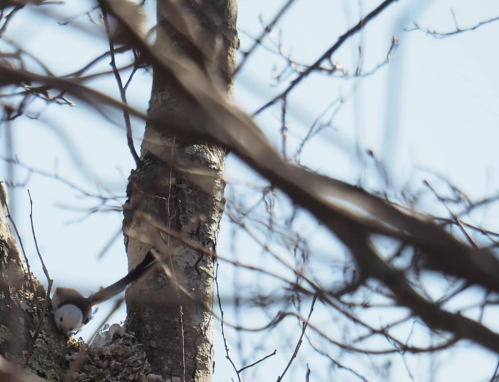 <img data-opt-id=1627084057  fetchpriority=