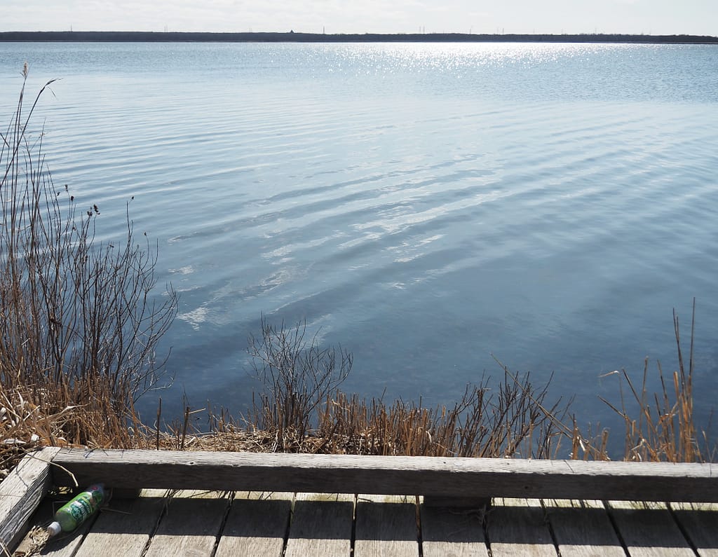 <img data-opt-id=230587006  fetchpriority=